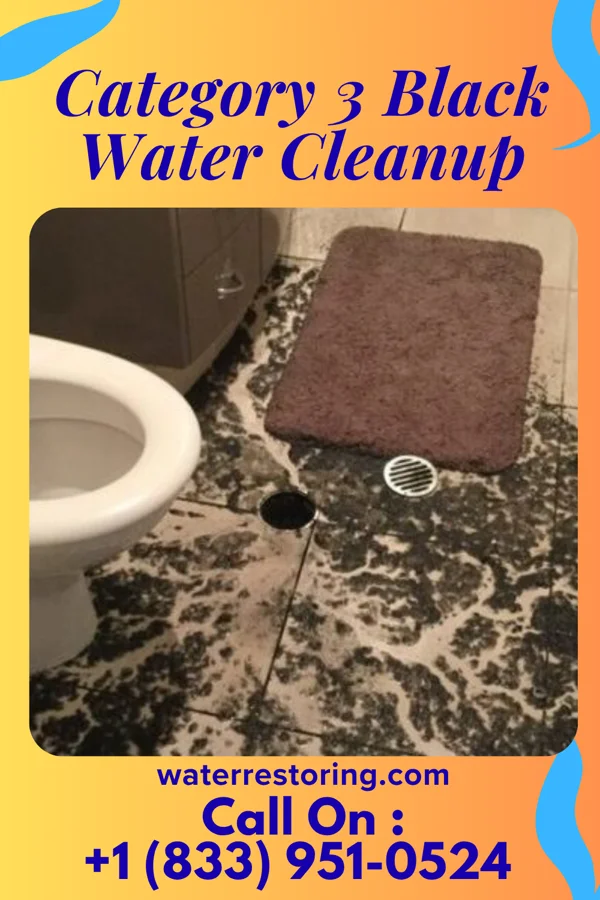 Category 3 Black Water Cleanup in East Spencer, NC