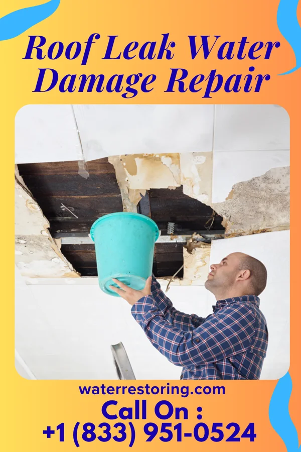 Roof Leak Water Damage Repair in East Spencer, NC