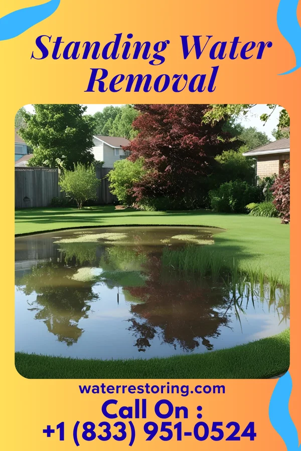 Standing Water Removal in East Spencer, NC